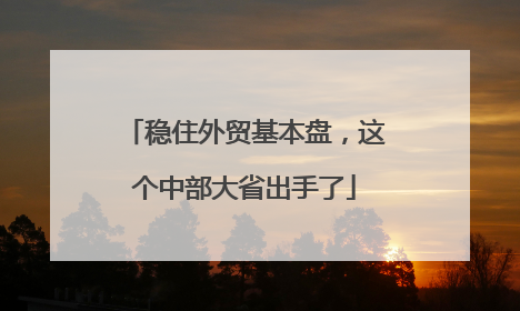 稳住外贸基本盘，这个中部大省出手了